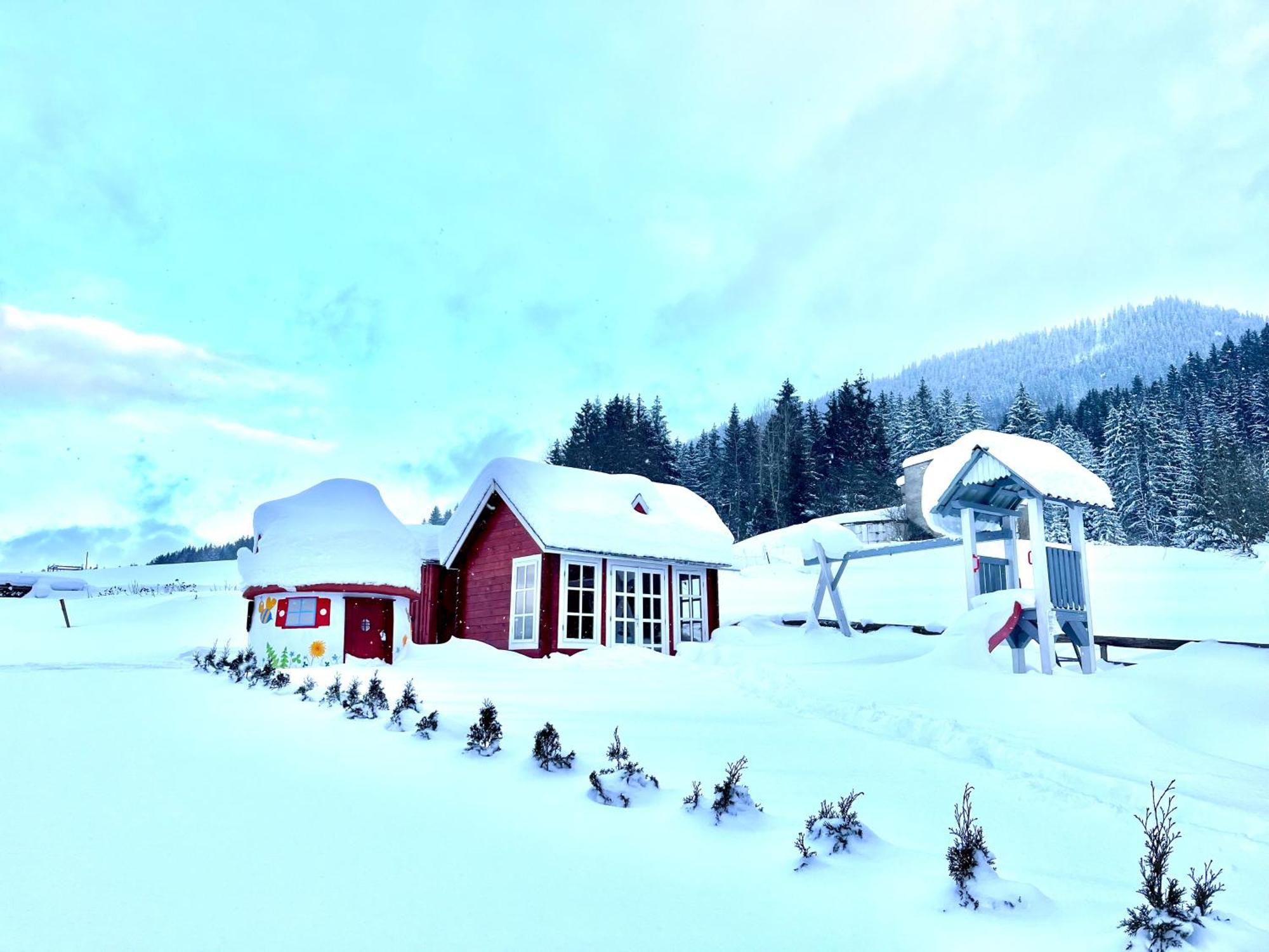 Arctic House Appartement Dolny Kubin Buitenkant foto
